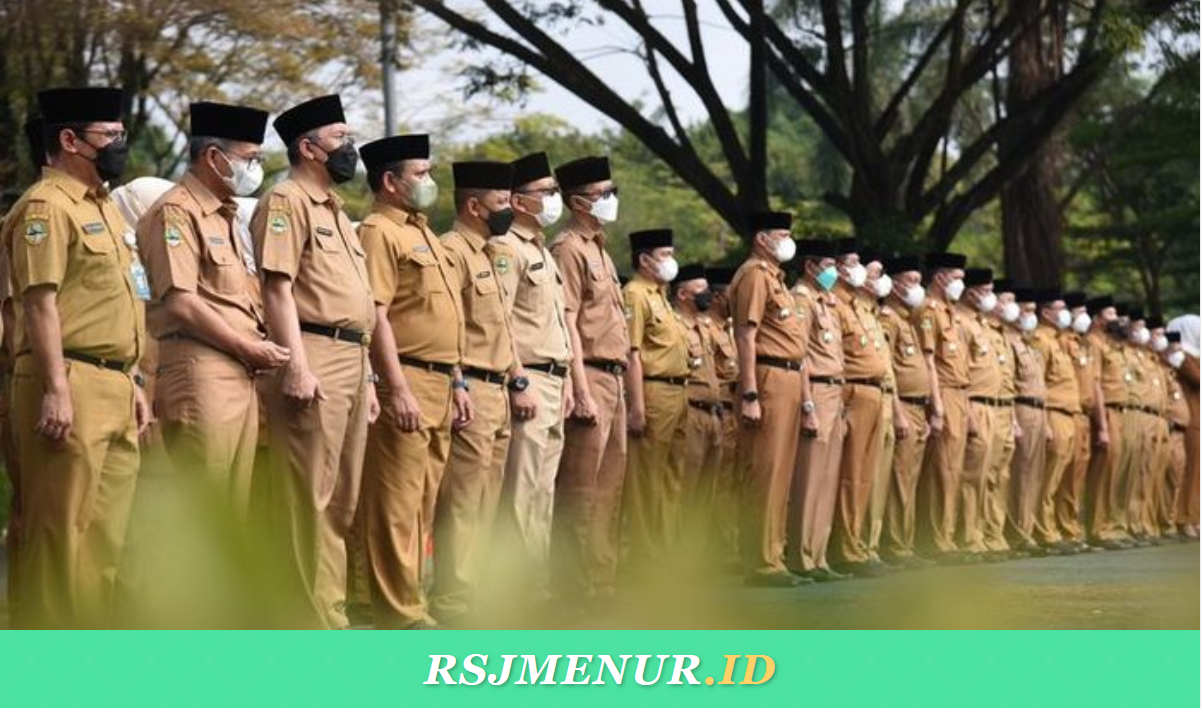 Dari 'Amtenaar' ke ASN BerAKHLAK: Sejarah Panjang PNS di Indonesia yang Jarang Diketahui Orang